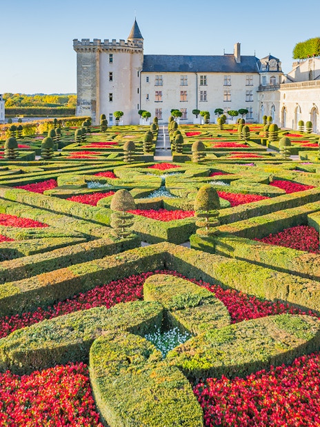 Ornamental Garden at Château of Villandry with intricate hedges and vibrant flowers.
