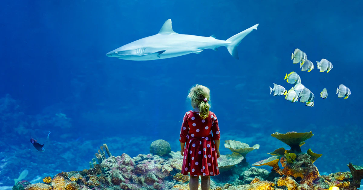 Girl watching a shark swim at Aquarium de Paris.