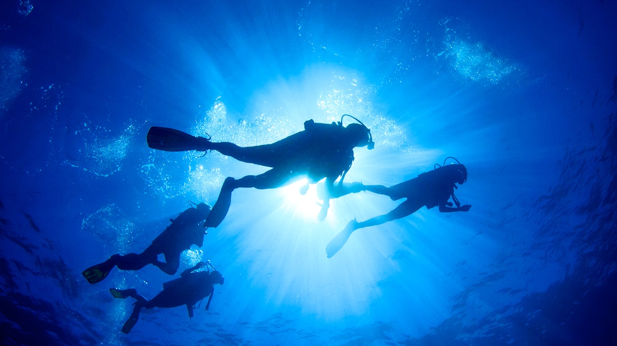 Scuba divers exploring underwater with sunlight streaming through the ocean.