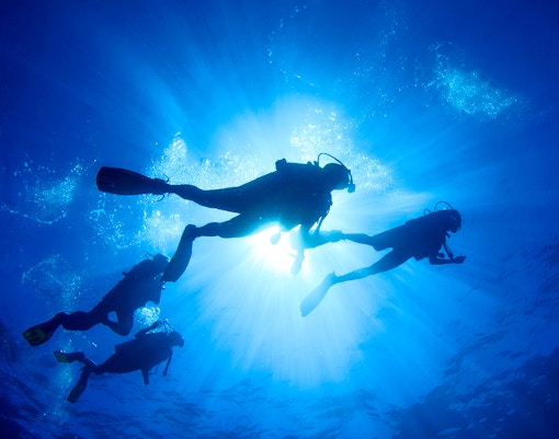 seaworld abu dhabi tickets