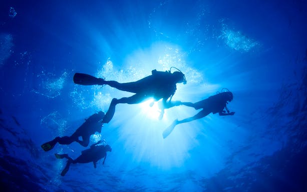 Scuba divers exploring underwater with sunlight streaming through the ocean.