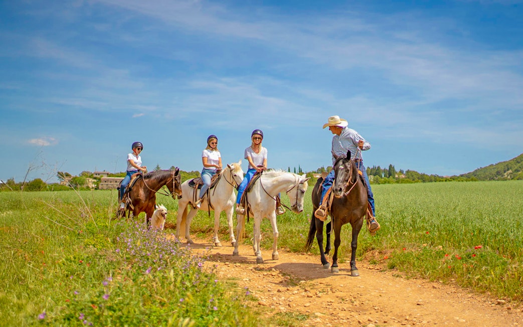 Tourists on horseback with guide at countryside track.