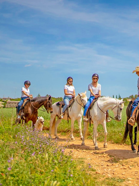 Tourists on horseback with guide at countryside track.