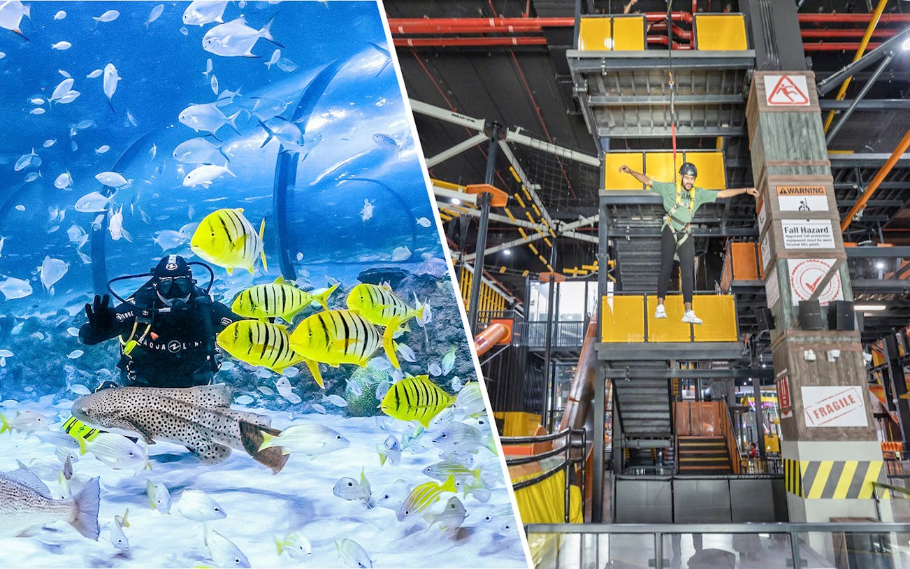 Diver with fish at National Aquarium and person on ropes course at Adrenark Adventure.