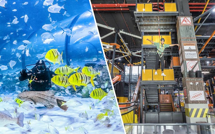 Diver with fish at National Aquarium and person on ropes course at Adrenark Adventure.