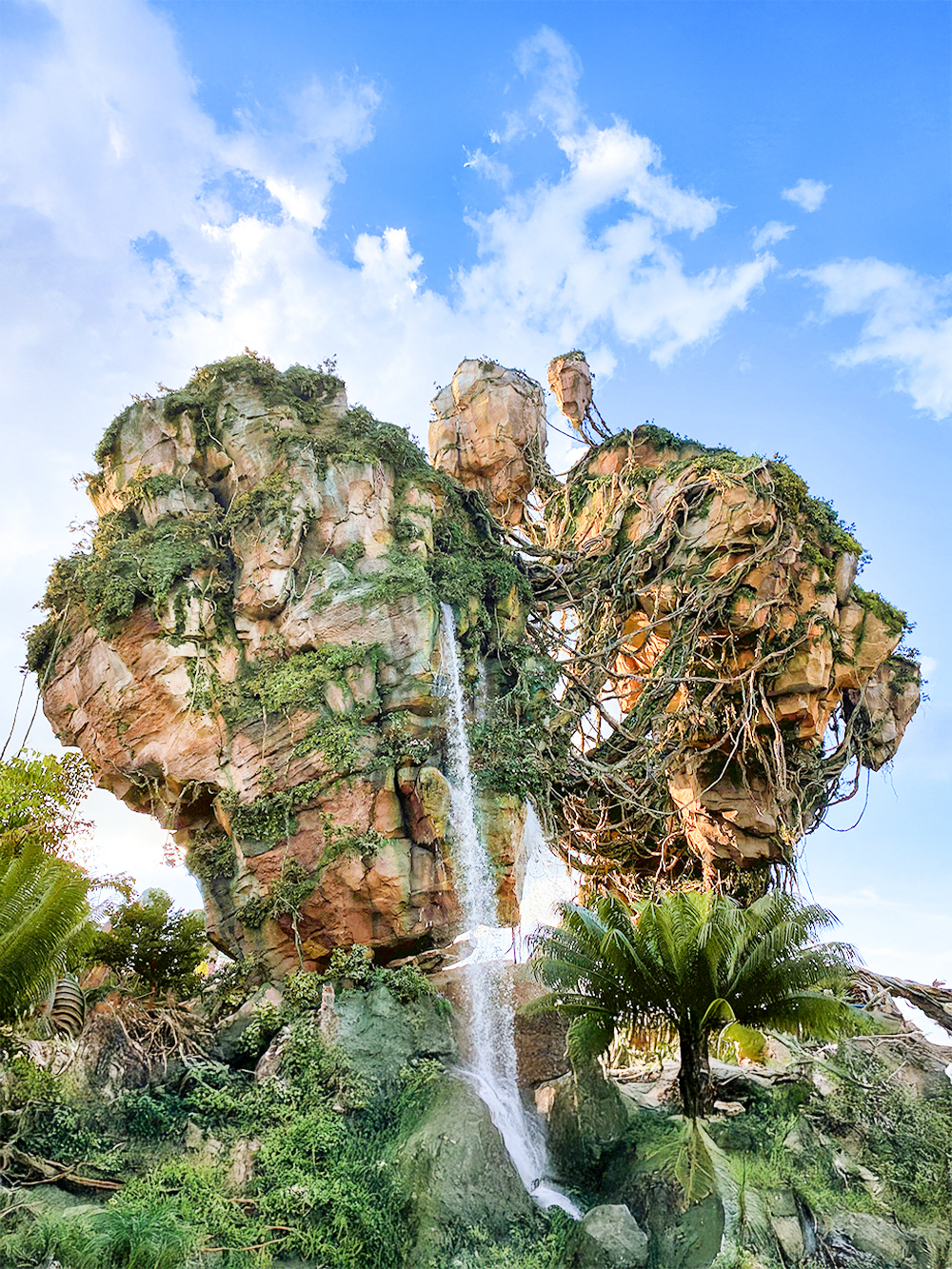 Pandora - De Wereld van Avatar, Orlando