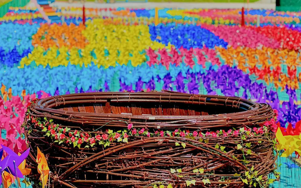 Colorful pinwheels and a large woven basket at De Windmill Selfie Park.