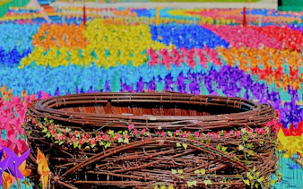 Colorful pinwheels and a large woven basket at De Windmill Selfie Park.