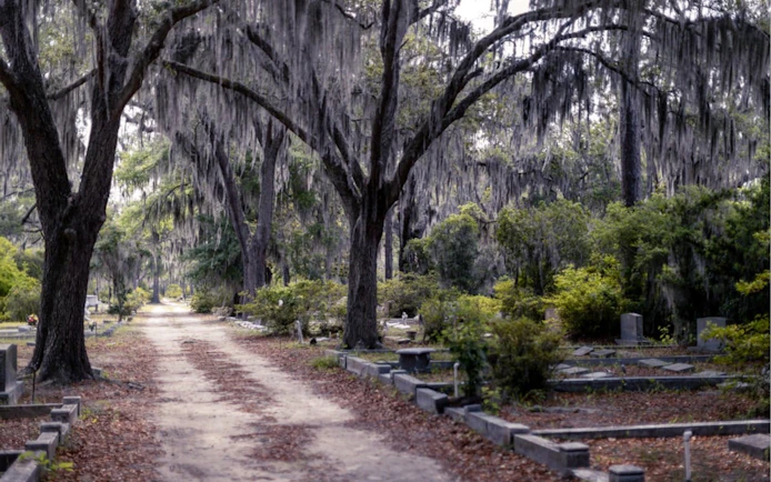 Gravestones under moss-covered trees in a Savannah cemetery path.