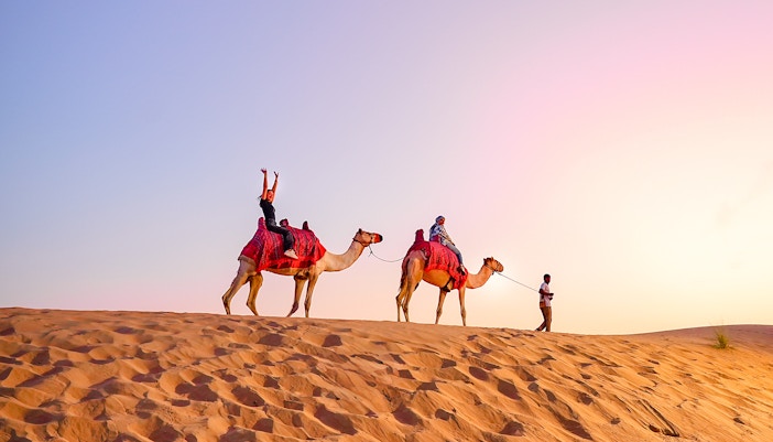 Camel ride during evening desert safari with tourists in the sand dunes.