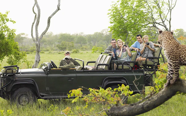 Kruger National Park Safari Tour with Hotel Pickup from Hazyview