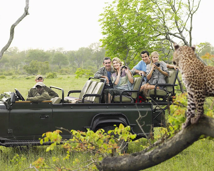Kruger National Park Safari Tour with Hotel Pickup from Hazyview