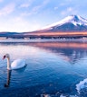 Lac Yamanaka