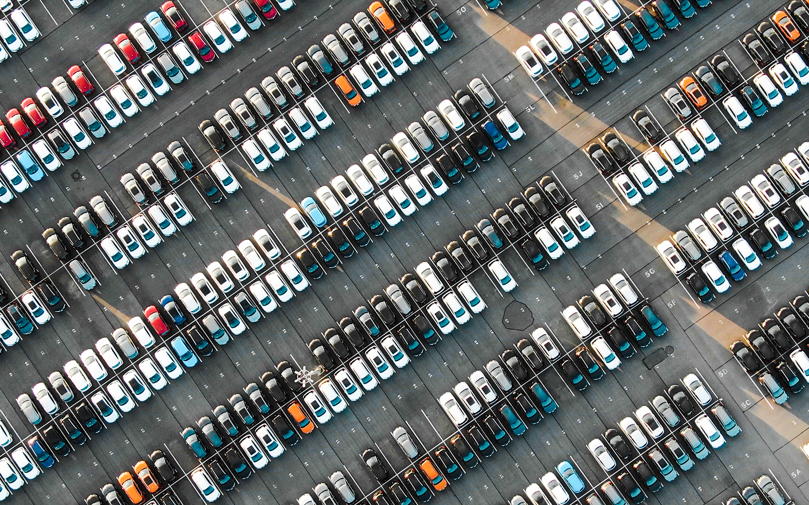 Dubai Miracle Garden Tickets