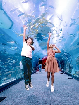 Kids jumping in tunnel at Dubai Aquarium & Underwater Zoo.