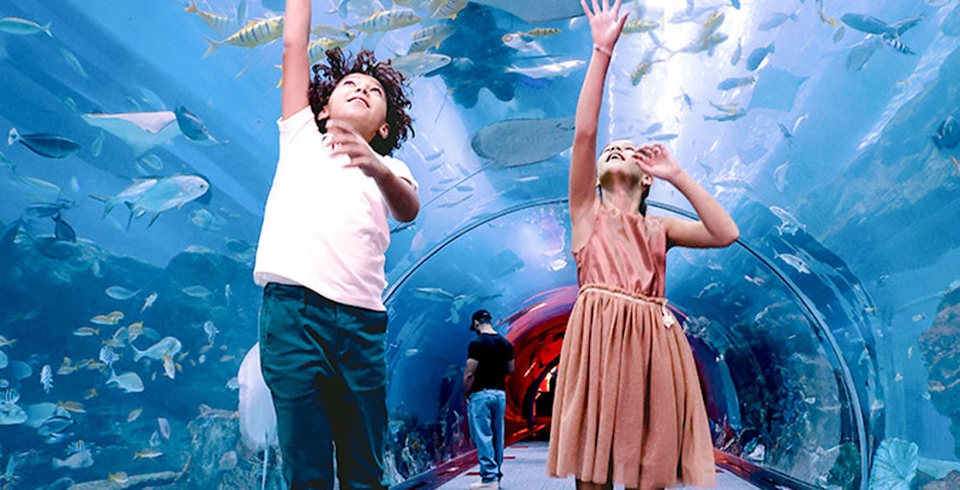 Dubai Mall Attractions