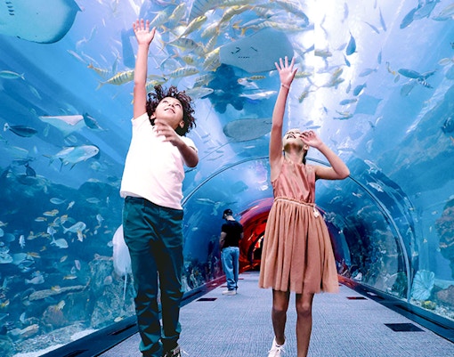 Kids jumping in tunnel at Dubai Aquarium & Underwater Zoo.