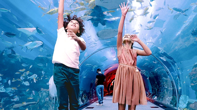 Kids jumping in tunnel at Dubai Aquarium & Underwater Zoo.