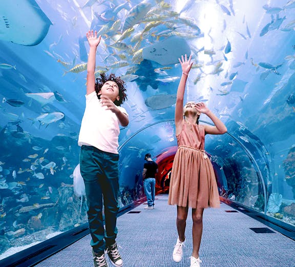 Kids jumping in tunnel at Dubai Aquarium & Underwater Zoo.