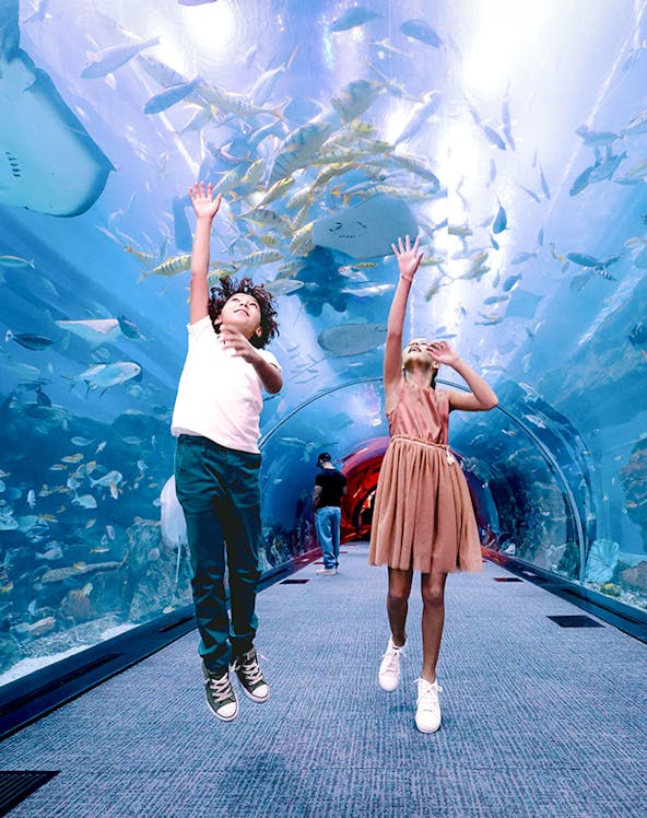 Kids jumping in tunnel at Dubai Aquarium & Underwater Zoo.