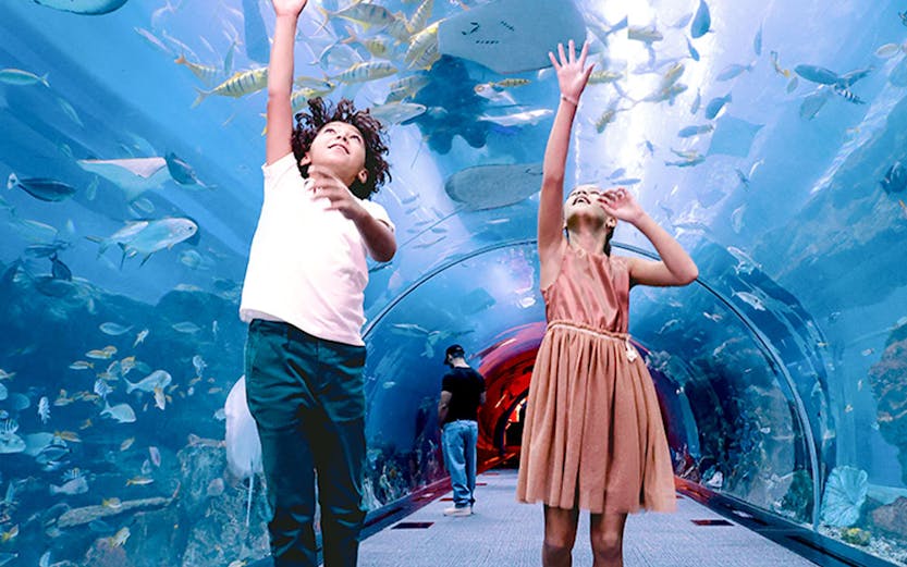 Kids jumping in tunnel at Dubai Aquarium & Underwater Zoo.