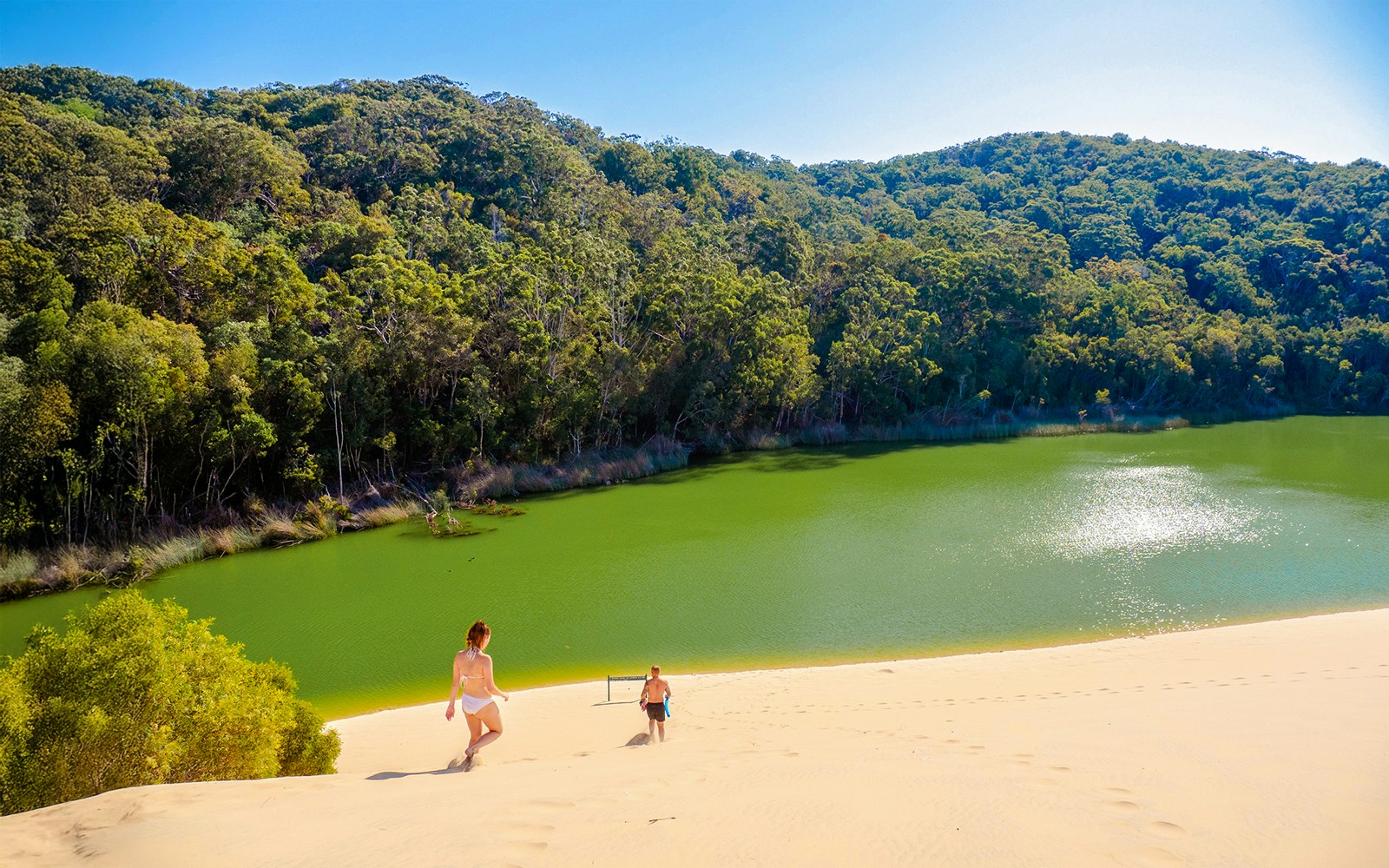 Visitors descending sand dune towards Lake Wabby on Fraser Island, K'gari.