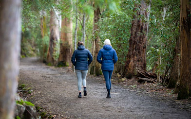 Two people walking on a forest trail during the kunanyi Mt Wellington hop on hop off tour.