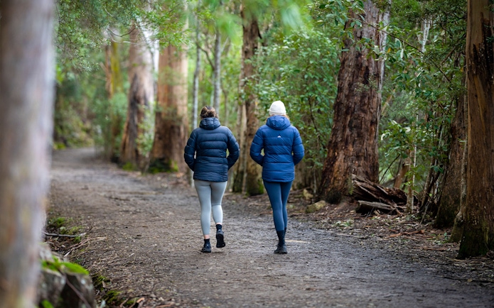 Two people walking on a forest trail during the kunanyi Mt Wellington hop on hop off tour.