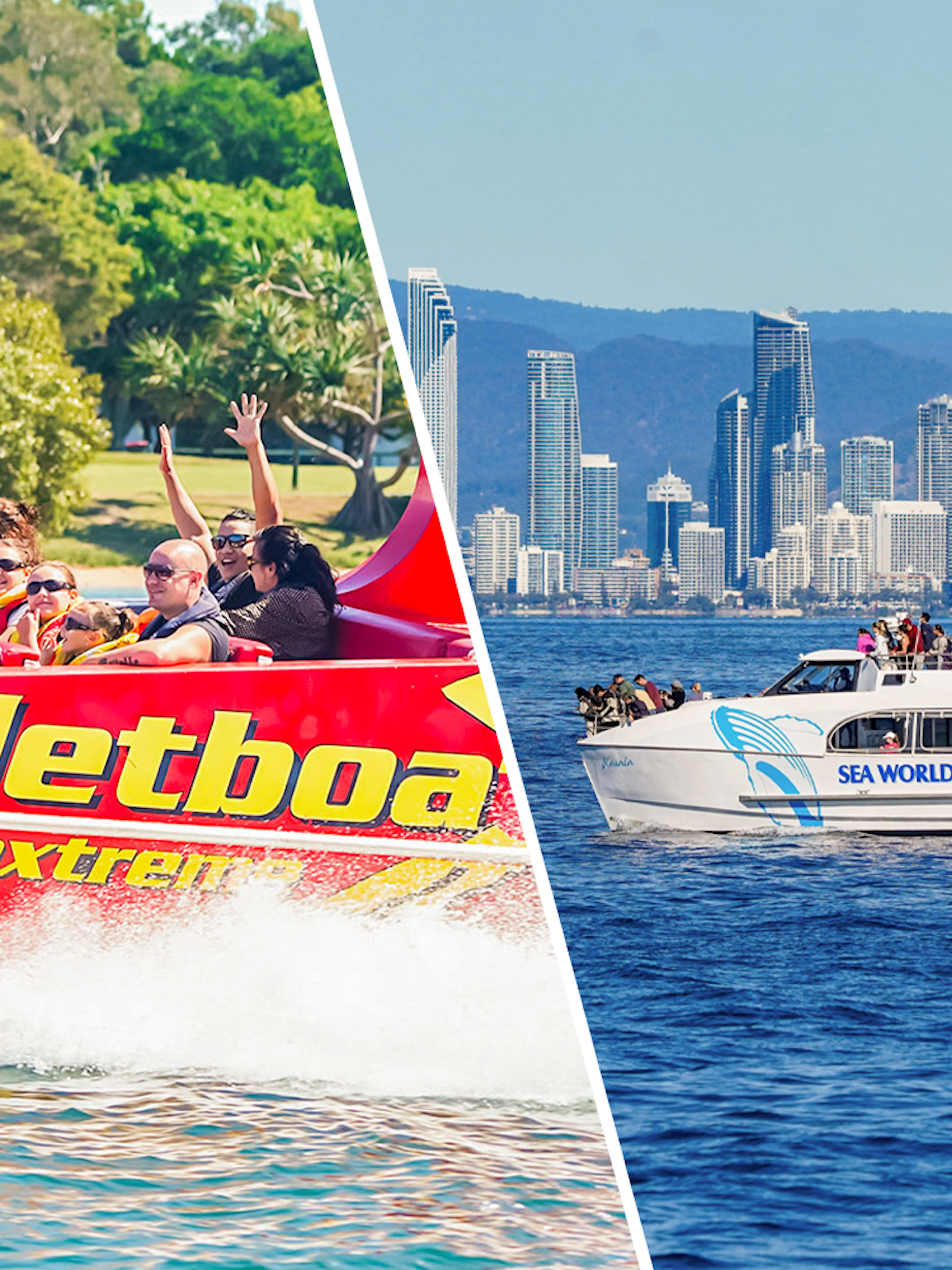 Gold Coast 55-Minute Jetboat Ride and Premium Whale Watching Cruise