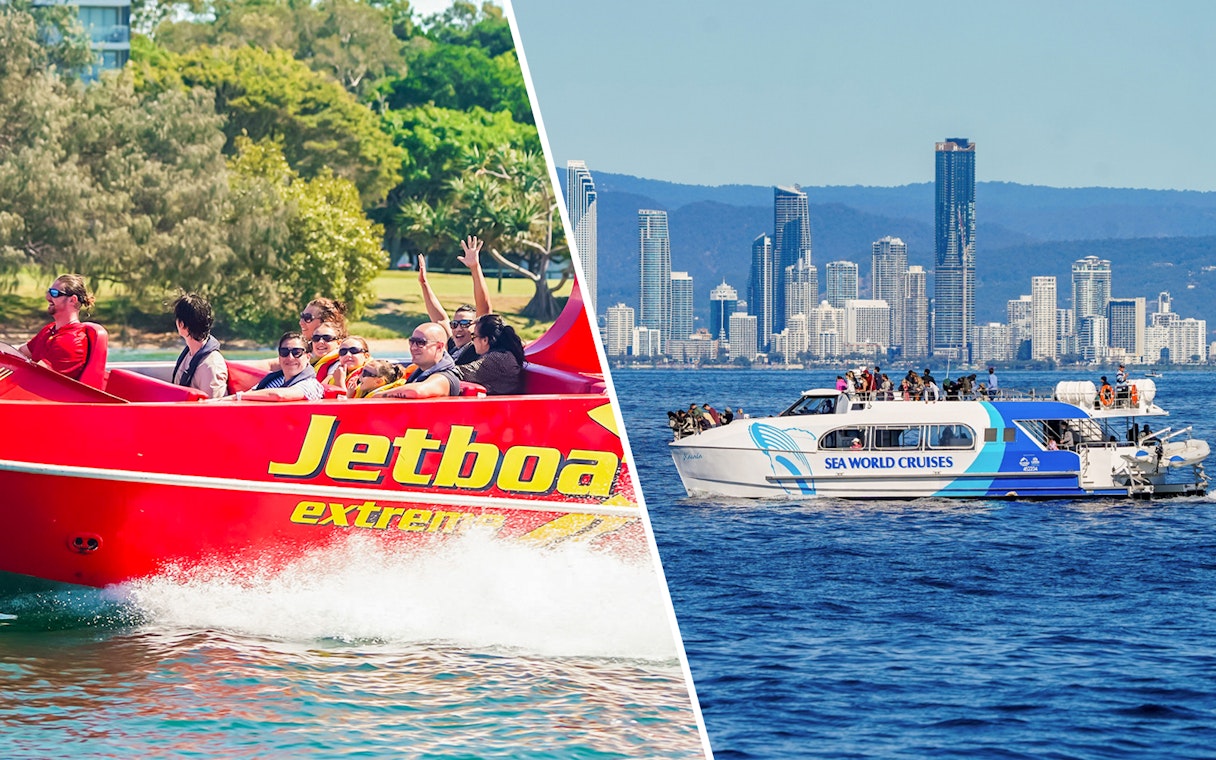 Gold Coast 55-Minute Jetboat Ride and Premium Whale Watching Cruise