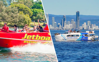 Gold Coast 55-Minute Jetboat Ride and Premium Whale Watching Cruise