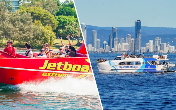 Combo: Gold Coast 55-Minute Jetboat Ride + Premium Whale Watching Cruise