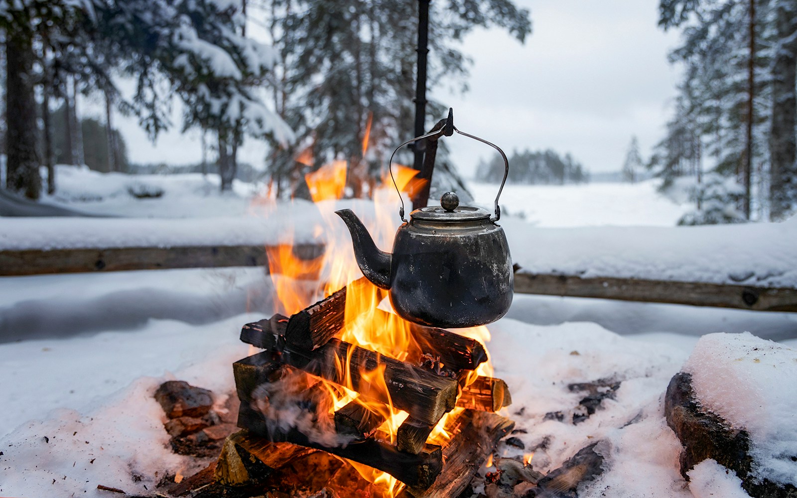 Kettle over campfire in snowy Lapland forest for blueberry tea preparation.