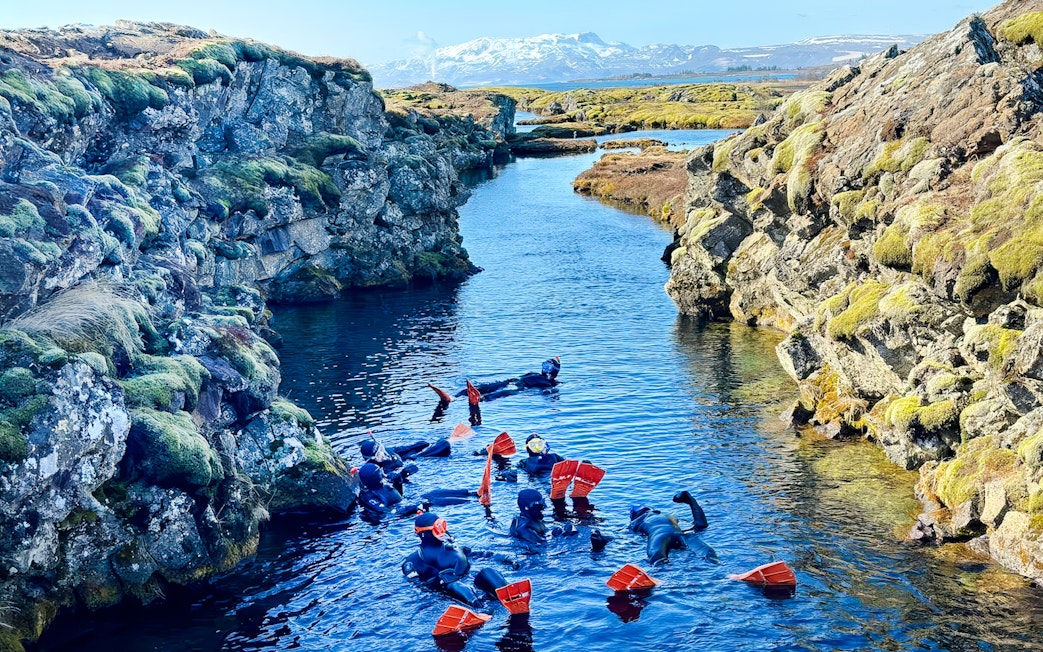 Snorkelers exploring Silfra fissure in Iceland's clear waters.