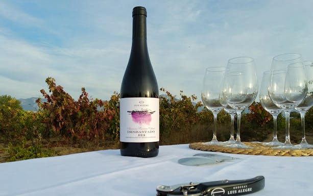 Bottle of Rioja wine and glasses on a table in a vineyard near San Sebastian.