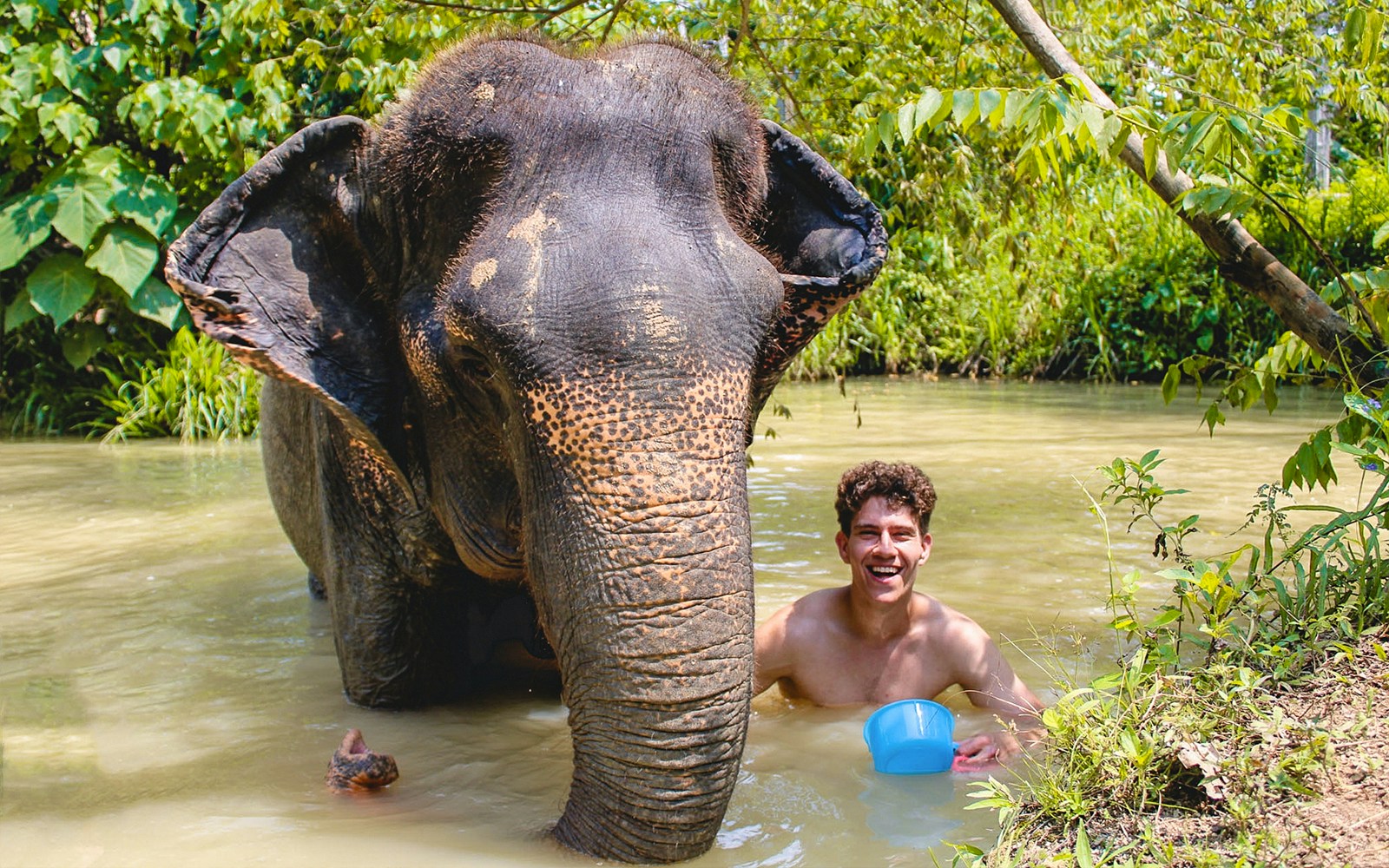 Elephant and person bathing in a river at Ao Nang Elephant Sanctuary.