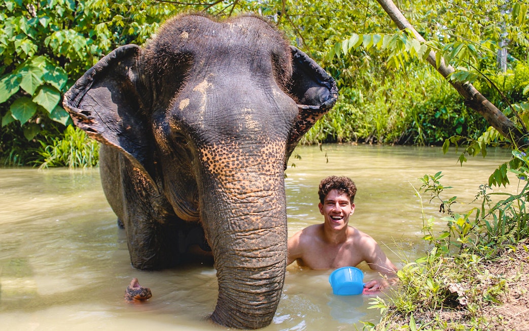 Elephant and person bathing in a river at Ao Nang Elephant Sanctuary.