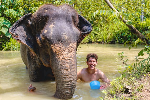 half-day guided tour of ao nang elephant sanctuary with hotel transfers-6