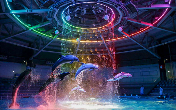 Maxell Aqua Park Tickets [E-Ticket]