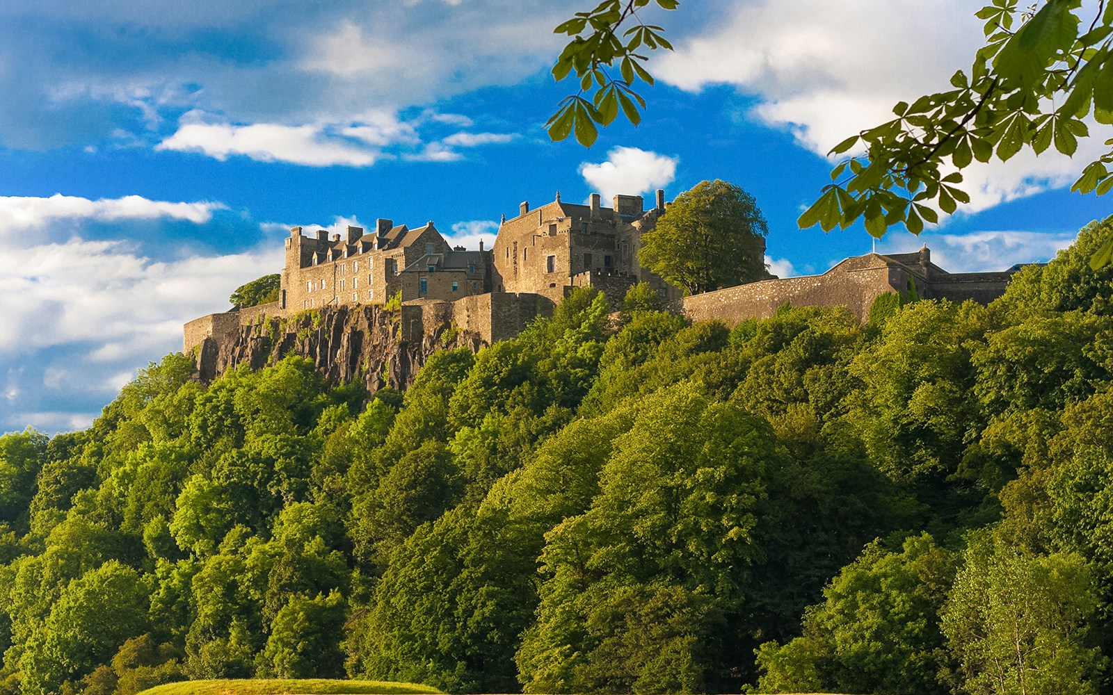 Stirling Castle surrounded by lush greenery under a blue sky in Scotland.