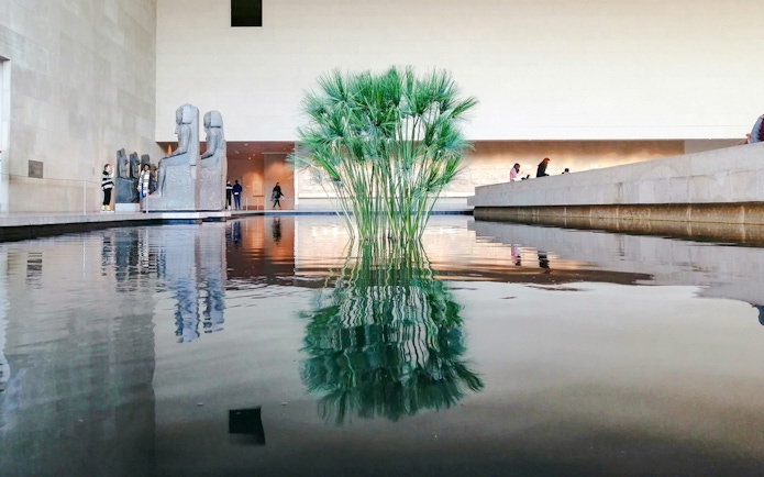 Reflecting pool with papyrus plant at the Metropolitan Museum of Art, surrounded by Egyptian sculptures and visitors.