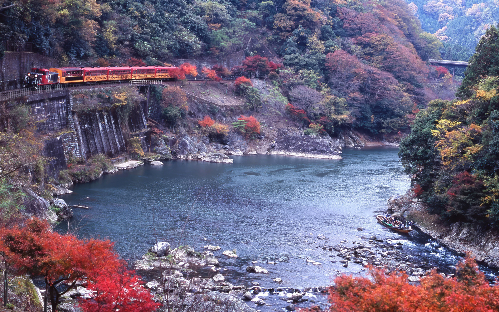 Kyoto Sagano train and Hozugawa boat amid cherry blossoms and autumn foliage.