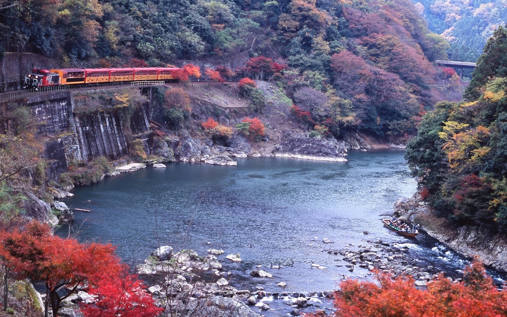 Kyoto Sagano train and Hozugawa boat amid cherry blossoms and autumn foliage.