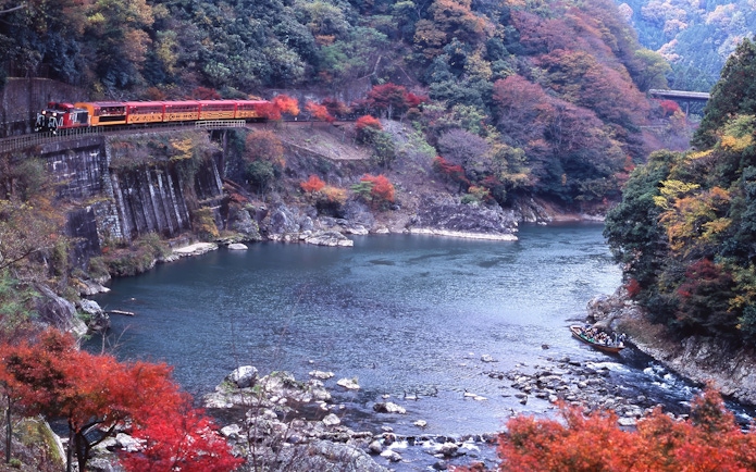 Kyoto Sagano train and Hozugawa boat amid cherry blossoms and autumn foliage.