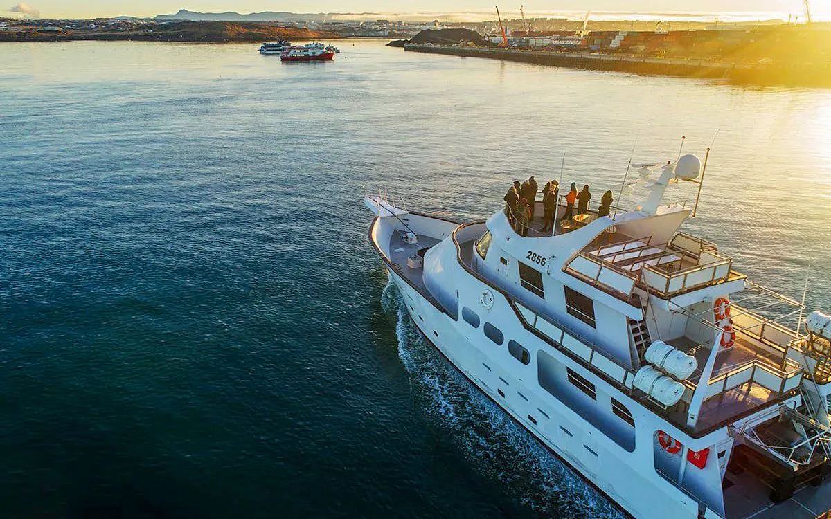 Amelia Rose yacht on a whale watching cruise departing Reykjavík harbor.
