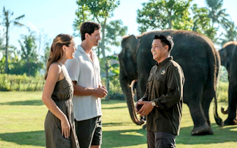 Tourists with guide near elephants in Bali on Elephant Explorer tour.