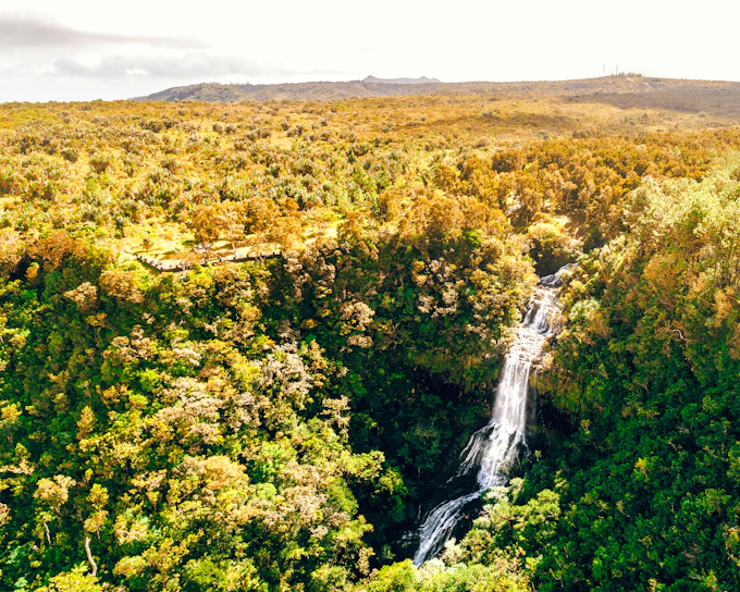 Southwest Mauritius Private Day Tour with Takamaka Winery Visit and Lunch