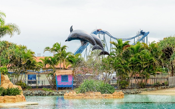 Dolphin performing with trainers at Sea World Gold Coast, audience watching in background.
