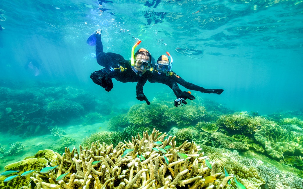 Snorkelers exploring coral reefs at Fitzroy Island.