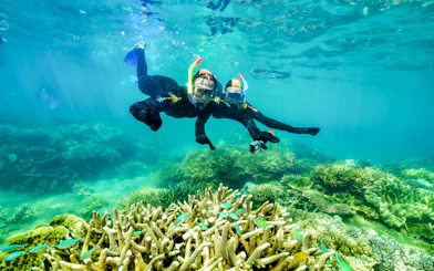 Snorkelers exploring coral reefs at Fitzroy Island.
